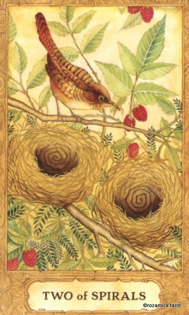 Chrysalis Tarot